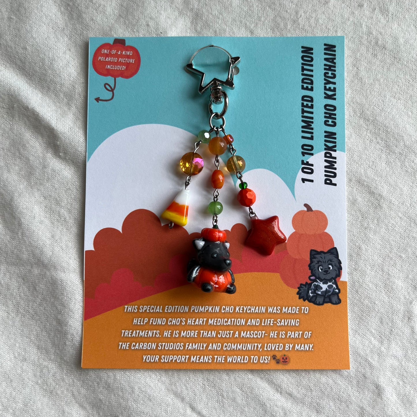 Pumpkin Cho Beaded Keychain & Polaroid Bundle - funds heart medication ❤️🩹