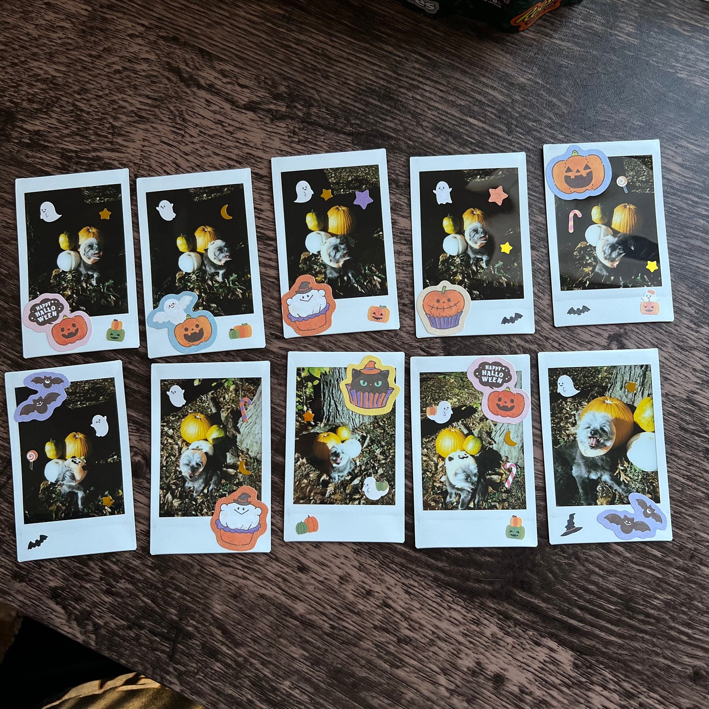 Pumpkin Cho Beaded Keychain & Polaroid Bundle - funds heart medication ❤️‍🩹